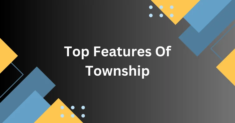 top features of township