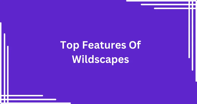 top features of wildscapes