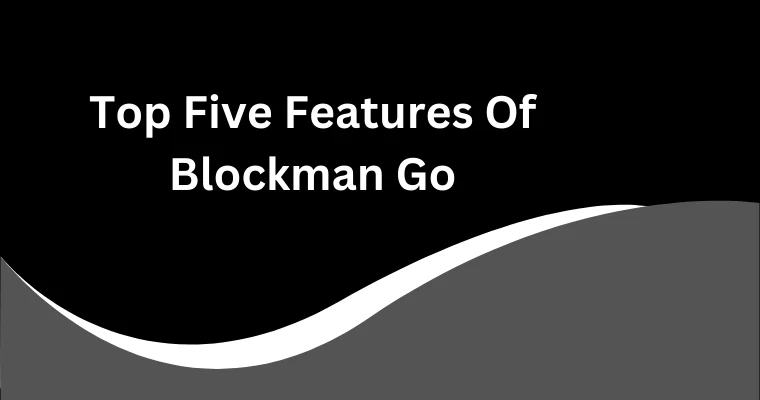 top five features of blockman go
