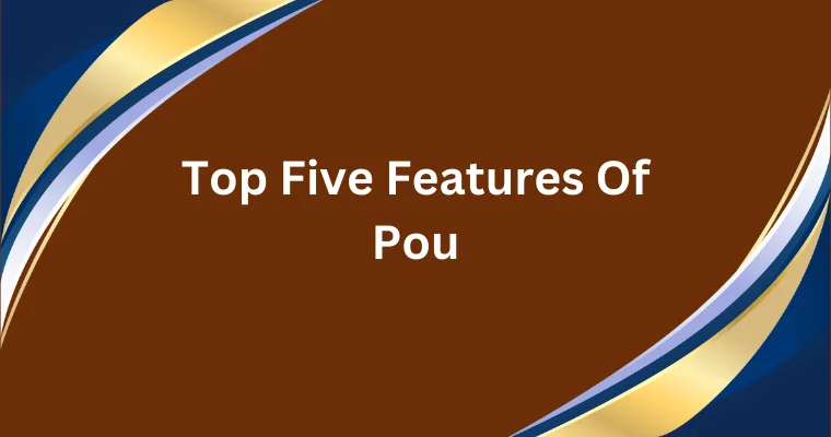 top five features of pou