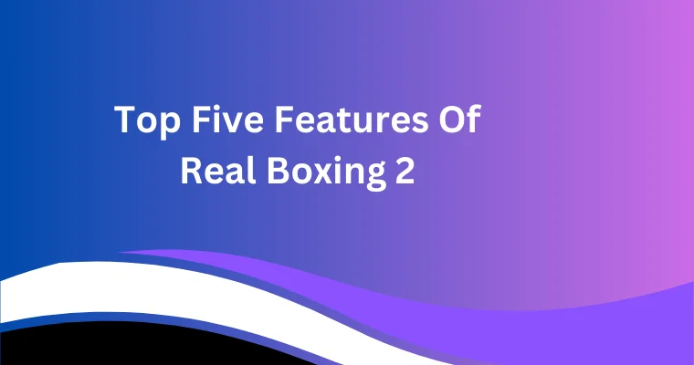 top five features of real boxing 2