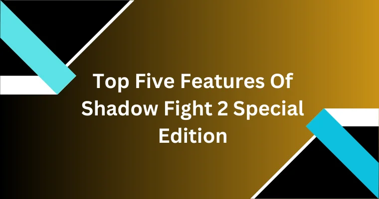 top five features of shadow fight 2 special edition