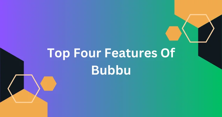 top four features of bubbu