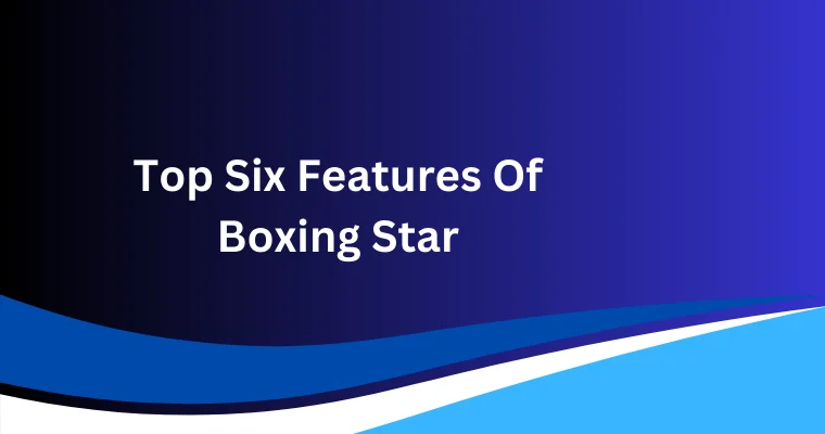 top six features of boxing star