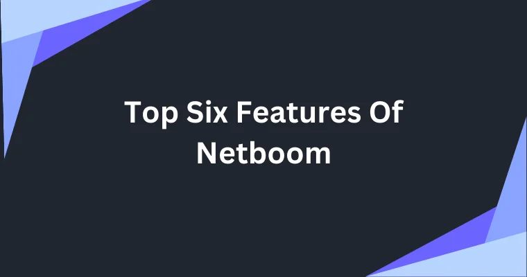 top six features of netboom