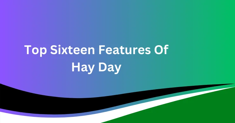 top sixteen features of hay day 